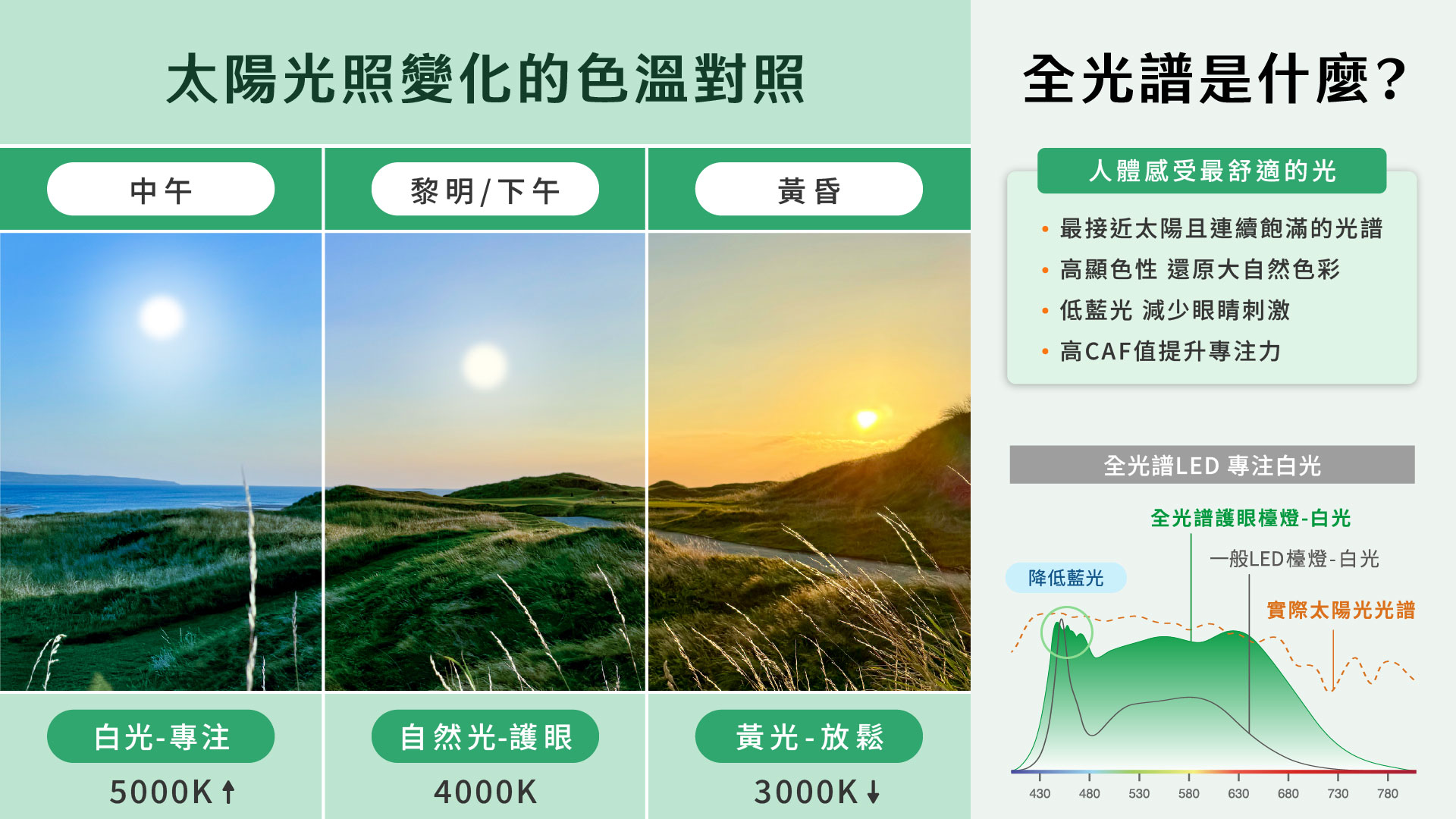 【護眼不是行銷話術】解析全光譜＋18項認證的真相